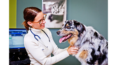 Veterinary Specialty Hospital – North County