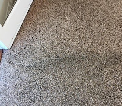 Silver Olas Carpet Tile Flood Cleaning