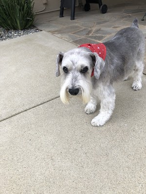 Twin Oaks Animal Hospital