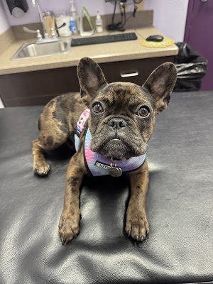 SOCAL Veterinary Hospital