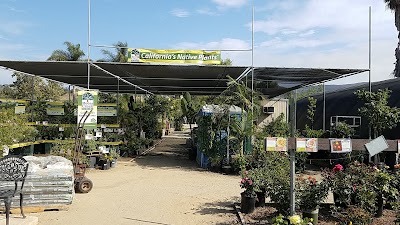 Green Thumb Nursery – San Marcos