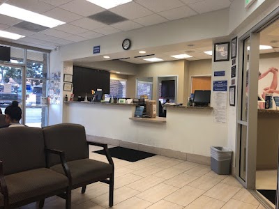 Western Dental & Orthodontics