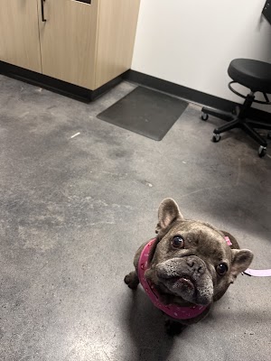 Eye Care for Animals – San Marcos