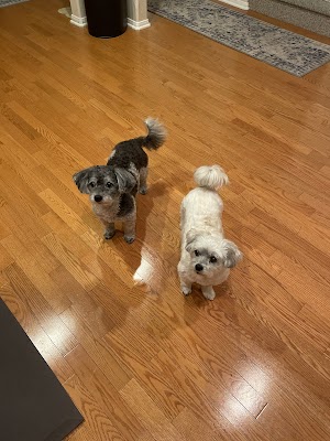 Alta Mira Animal Hospital